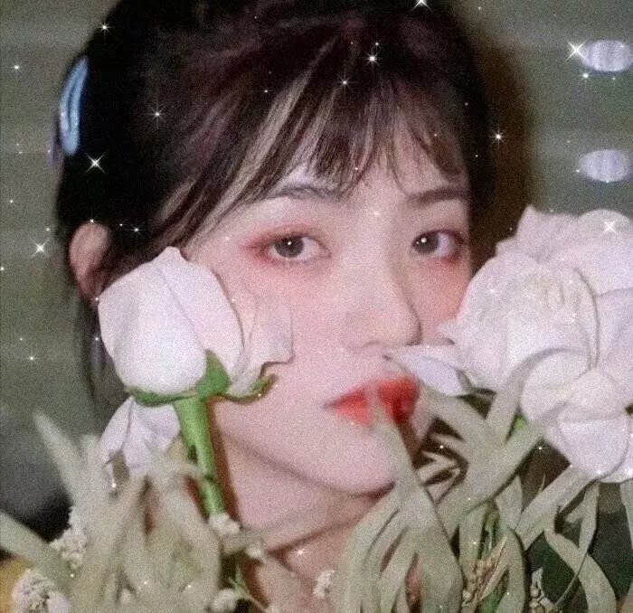 黑色孤星泪